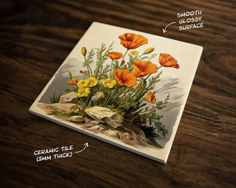 Vintage-Style Illustration | California Poppies | Nature Art (#5), on a Glossy Ceramic Decorative Tile, Free Shipping to USA