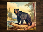 Vintage-Style Illustration | Black Bear in Nature Art (#1), on a Glossy Ceramic Decorative Tile, Free Shipping to USA