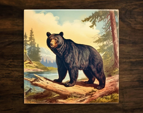 Vintage-Style Illustration | Black Bear in Nature Art (#1), on a Glossy Ceramic Decorative Tile, Free Shipping to USA